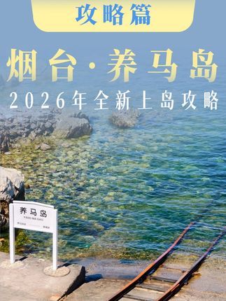 2026 养马岛最新攻略封面